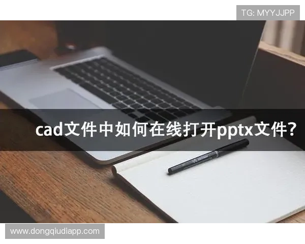 提升风云体育手机版会员登录成功率的实用技巧与注意事项